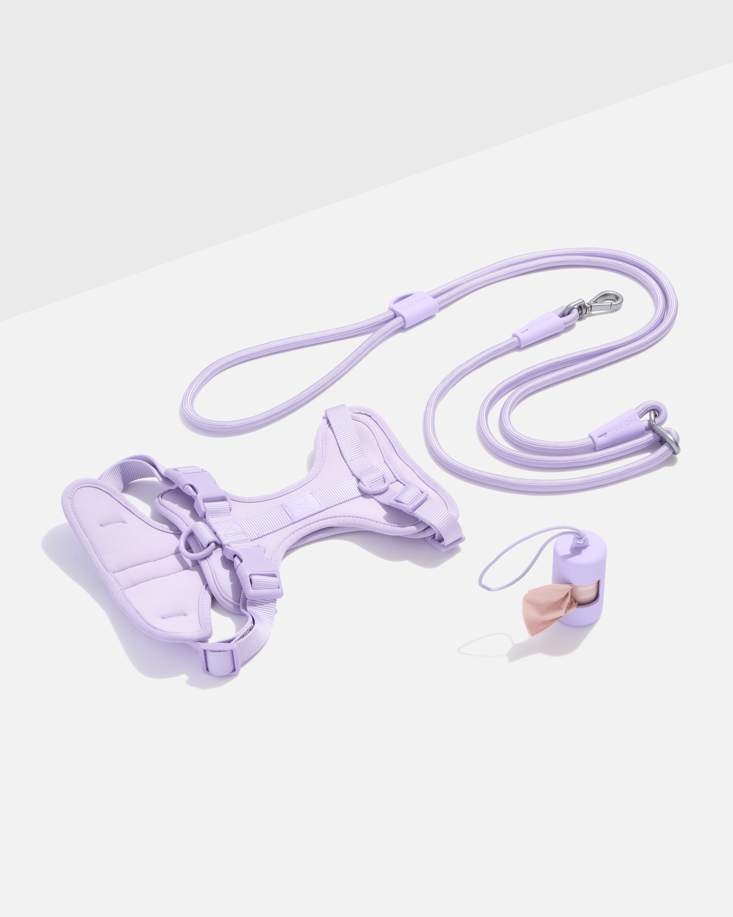 Harness + Leash Walk Kit
