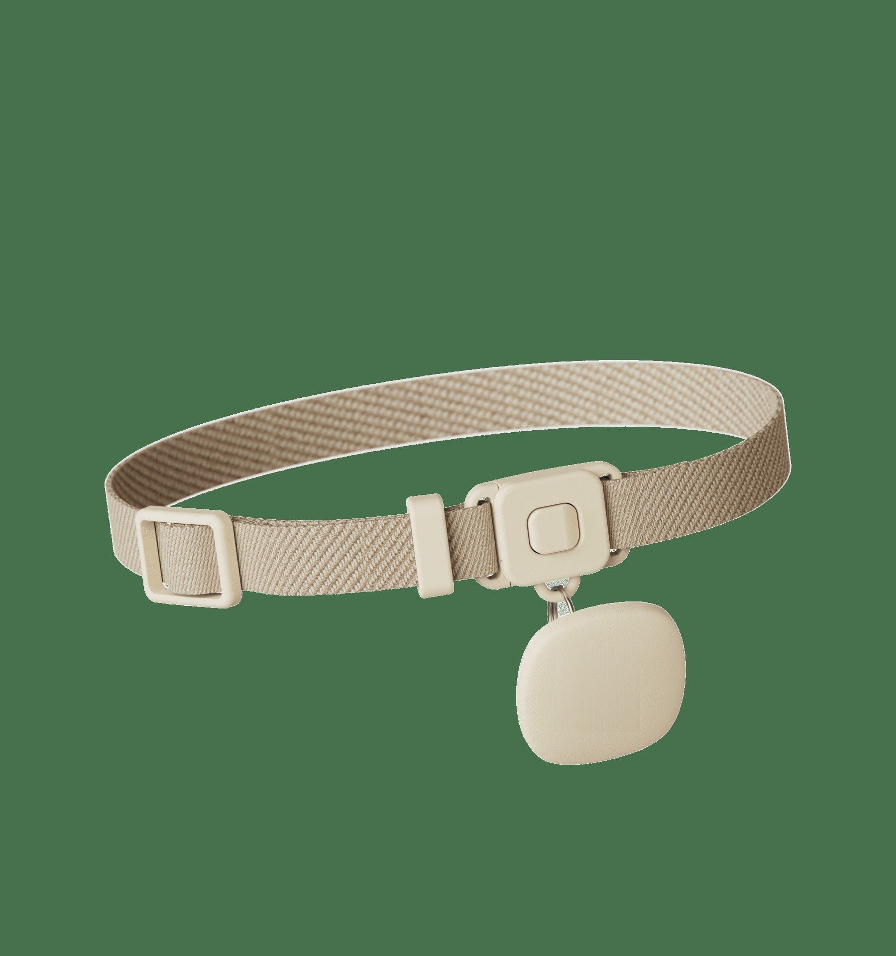 GPS Pet Tracker